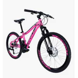 Bicicleta Aro 24